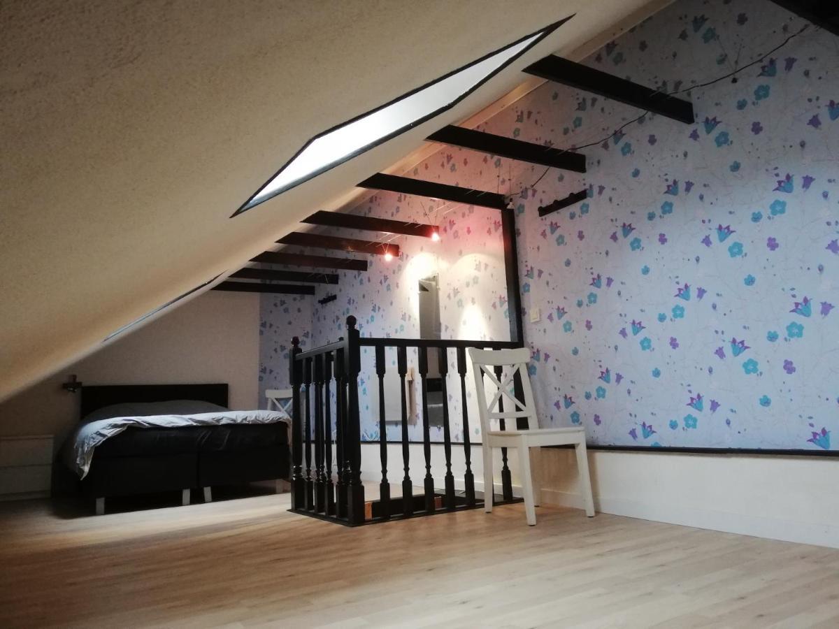 Maison Camaret Sur Mer Zewnętrze zdjęcie